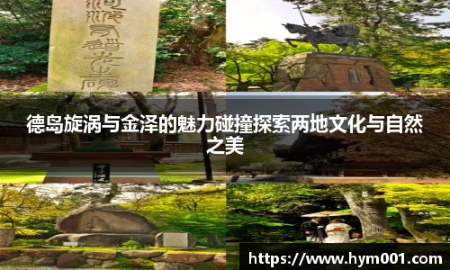 zoty中欧体育网站
