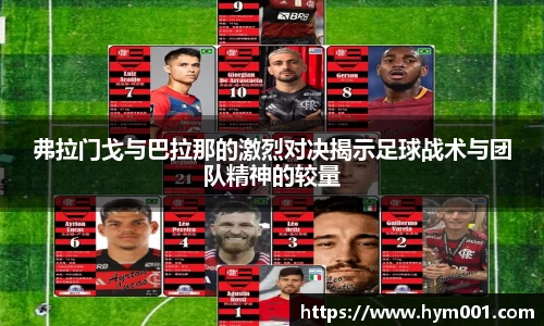zoty中欧体育网站